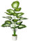 AIVORIUY Planta Artificial Palma con Maceta, Arbol Artificial Grande Plastico Hojas Realistas Decorativa para Interior y Exterior Hogar Salón Oficina Dormitorio (75cm Blanco Verde Palma)