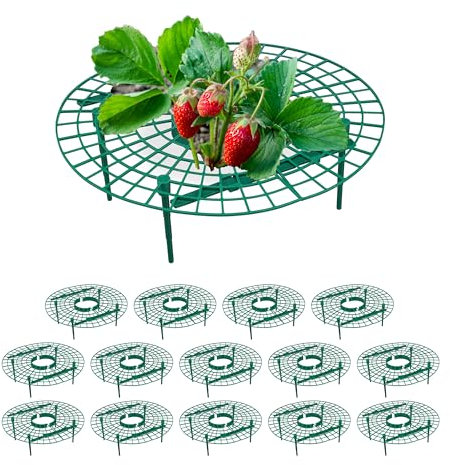 Relaxdays Set da 15 Anelli di Supporto per Fragole, Sostegno in Plastica per Piante da Orto, Rete Antimuffa, Verde, 10 x 30 cm