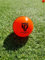 Newzone Sport Ltd | Premium PVC Cricket Training Ball – Durable, Realistic Seam, True Bounce & Swing | Wind Ball for Indoor & Outdoor Practice, Coaching, Garden & Beach Play