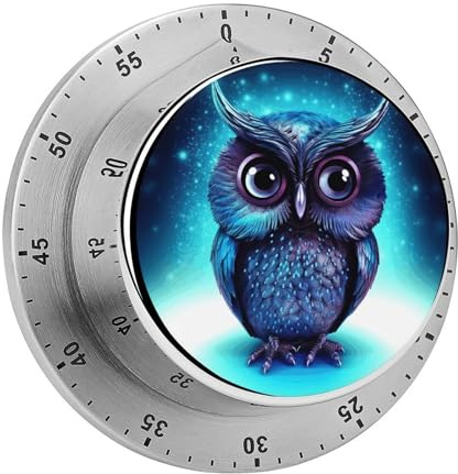 Mechanische Küchenuhr mit Blauer Eule, 60-Minuten-Magnet-Countdown-Timer m