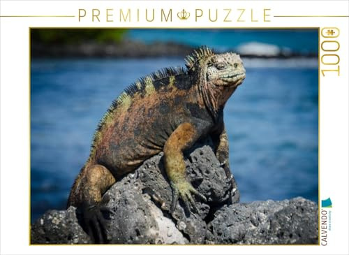 CALVENDO Puzzle EIN Motiv aus dem Kalender Leguane auf Galapagos | 1000 Teile Lege-Größe 64 x 48 cm Foto-Puzzle für glückliche Stunden