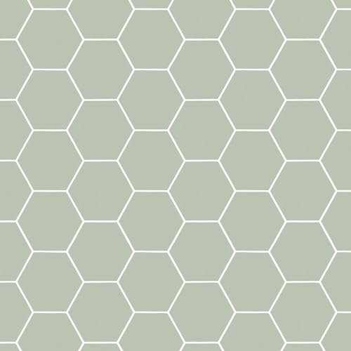 Papier peint intissé Quadrillage en Hexagone 1005 x 52cm Vert | Revêtement Mural, Tapisserie | Ambiance Facile à poser et à enlever
