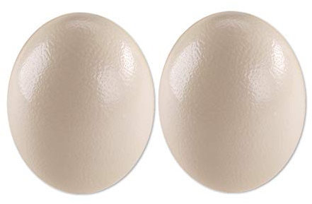 2 Straußeneier aus Südafrika - 1A Qualität - Straußenei - Größe ca. 13-16cm - naturbelassen, entleert, ausgeblasen und gereinigt