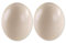 2 Straußeneier aus Südafrika - 1A Qualität - Straußenei - Größe ca. 13-16cm - naturbelassen, entleert, ausgeblasen und gereinigt