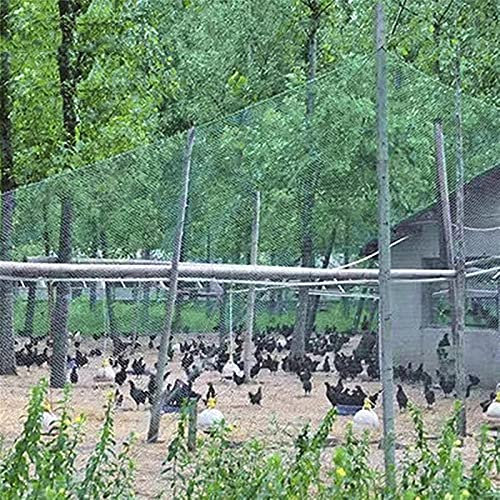 Filet Anti-Oiseaux Filet de Protection Filet Oiseaux Filet de Jardin Barrière de Poulet en Maille pour Protection Arbres fruitiers Stop aux Oiseaux