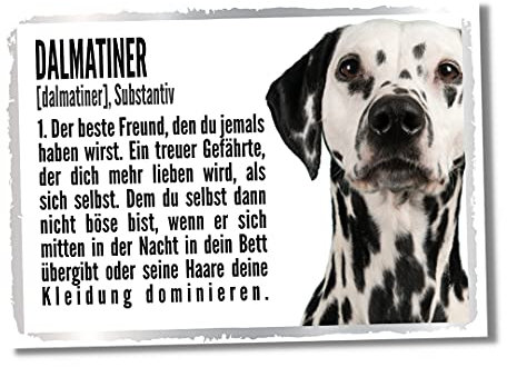 Dalmatiner Duden Hund Dog Schild Spruch Türschild Hundeschild Warnschild Fun Geschenkidee lustiger Spruch Hundemotiv Aluminium Wetterfestes Hundeschild