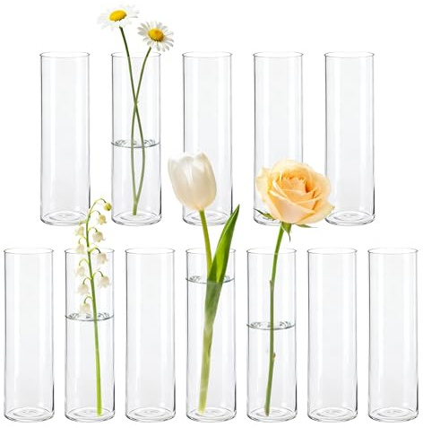 BTSD-home 24 Stück Zylinder Glasvase Set als Kleine Vasen für Tischdeko Vasen Klein Tischdeko Für Hochzeitsdeko Wohnzimmer Deko Party Deko Festtagsgeschenke