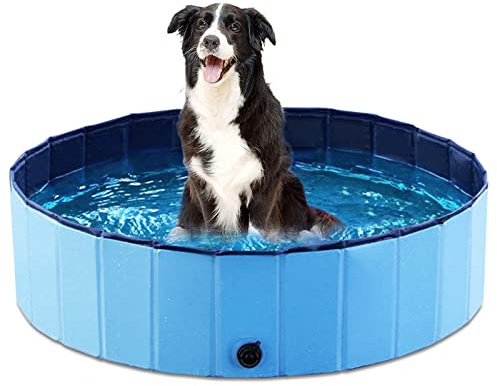 Jasonwell Foldable Dog Pool Collapsible Hard Plastic Dog Swimming Pool Portable Kiddie Pool Pet Pool Doggie Wading Pool Bath Tub for Puppy Small Medium Large Dogs Cats and Kids 39.5