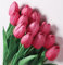 Anaoo 12 Pezzi Tulipani Fiori Artificiali Finti in Lattice Realistico Bouquet Decorazione per Nozze, Composizioni Floreali, Feste, Natale, Matrimoni, Casa, Ufficio, Effetto, Rosa Caldo