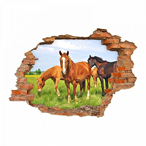 056 Wandtattoo Pferde - Loch in der Wand Wiese Fohlen braun schwarz reiten Koppel - in 6 Größen - Kinderzimmer Sticker Wandaufkleber niedliche Wandsticker Wanddeko Wandbild Mädchen Größe 500 x 350 mm