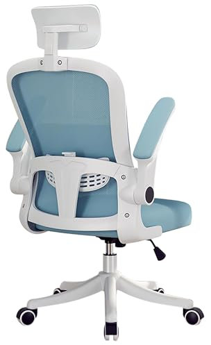 taitus Bürostuhl Ergonomischer Stuhl mit bis zu 125° Rückenneigung, 10 cm Höhenverstellung, mit Lendenwirbelstütze und Kopfstütze, um 90° hochklappbaren Armlehnen und 360° drehbarem Gaming-Stuhl
