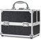 Frenessa Makeup Case 4 Trays Cosmetic Box Lockable Beauty Vanity Organiser Holder Box for Gifts, Black