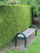 Lebensbaum Thuja Brabant 60-80 cm IM TOPF. 5x Heckenpflanze. Immergrüne Konifere