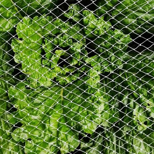 Vogelschutznetz Vogelschutznetz - 6.6ft 10ft 13ft 20ft 26ft 30ft 50ft 66ft 98ft, Kommerzielles Obstbaumnetz Zum Schutz Von Obst, Heidelbeeren, Hirschzaunnetz(30x15m/98x49ft)