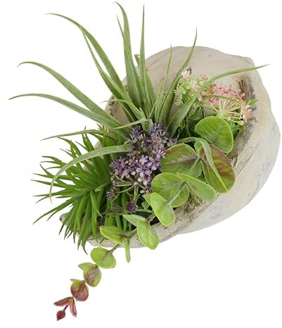 Flair Flower Künstliches Arrangement Sukkulenten Agave Aloe Vera Yucca Sanseveria Pflanze Kakteen Kunstmoos Kaktus Grünpflanze Zimmerpflanze Tischpflanze Kunstpflanze Kunstblume in Muschelschale
