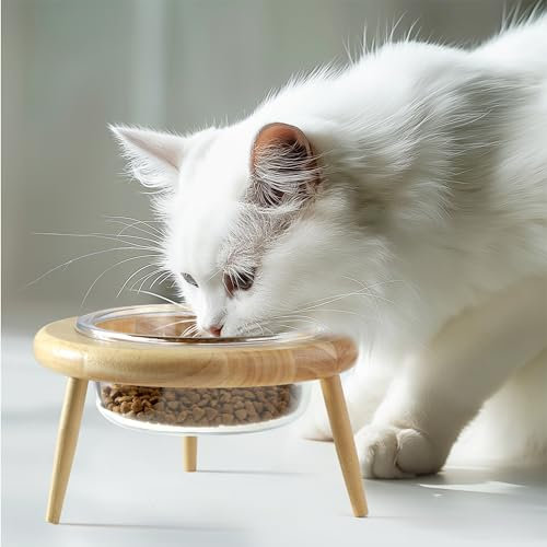 Navaris Katzen Futternapf erhöht - Katzenfressnapf erhöht - Erhöhter Katzennapf - Katzennapf erhöht flach - Katzen Napf Erhöhung - Höhenverstellbar - 600 ml - Glas und Holz
