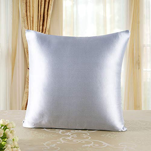 townssilk Seidenkissenbezug 40x40cm – 100% Maulbeerseide, 19mm, beidseitig Seide, Oeko-TEX Zertifiziert, Güteklasse 6A, mit Reißverschluss, 1 Stück,Silber