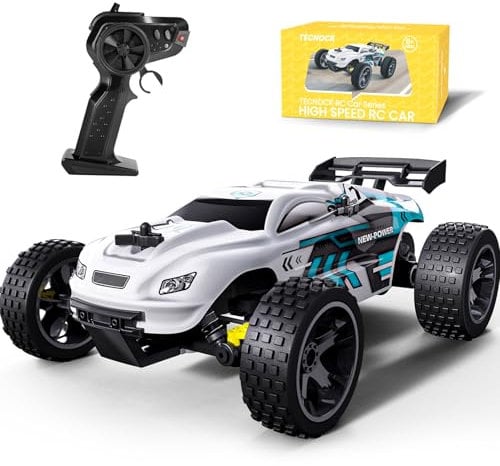 Tecnock RC Car Remote Control Car for Kids, 1:18 High Speed 20 KM/H 2WD RC Buggy, 2.4GHz Off Road Racing Car with Two Rechargeable Batteries, Gift for Boys and Girls (White)