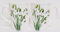 Snowdrop - Juego de 2 tazas de topacio de porcelana blanca (275 ml, 269 ml), decoradas a mano en el Reino Unido