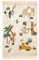 Atmosphera - Kinderteppich Jungle Baumwolle - B 100 x T 0-5 x H 150 cm - 100x150 cm - Mehrfarbig