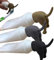 Chansunokku 3 Stück Lustig Hundehintern Zahnpastaspender Pooping Dog Butt Zahnpasta-Topper Zahnpasta Quetscher Aufsatz, Hundehintern Form Zahnpasta Deckel Kreative Zahnpasta Spender Kappe