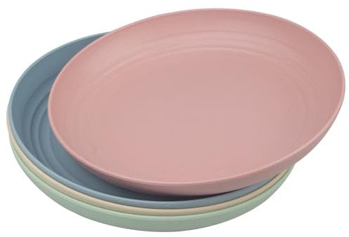 tallkeey Lot de 4 assiettes à dîner incassables, assiettes en plastique réutilisables, 22,9 cm, assiettes de camping légères, passent au lave-vaisselle