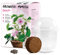 GROW2GO Mimose Starter Kit Anzuchtset - Pflanzset aus Mini-Gewächshaus, Mimose Samen & Erde - nachhaltige Geschenkidee für Pflanzenfreunde