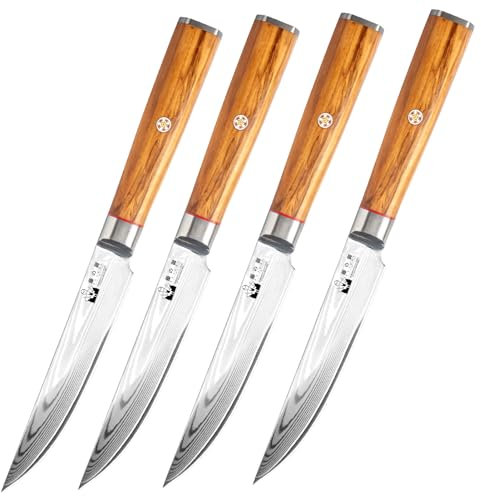 FUJUNI Set Coltelli da Bistecca Lama Liscia, 4 Pezzi, Coltello Lama Damasco 12,5CM, 67 Strati Acciaio Damasco VG10 Set Coltelli da Tavola Professionale con Manico in Legno d'Ulivo