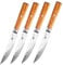 FUJUNI Steakmesser Damast 4er Set Mit Extrem Scharf 12.5 cm Klinge Aus 67 Lagen VG-10 Damaststahl Steakbesteck,Glattschliff, Olivenholzgriff, Geschenkbox
