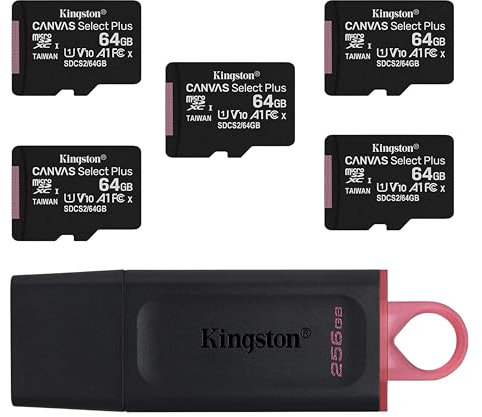 Kingston - 5 64GB Memory Cards and 256GB Data Traveler Exodia USB for Fast Photo and Video Storage and Transfer, Perfect for Cameras, Drones, & More (Up to 10x Faster)