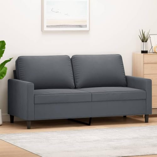 Emmtore Sofa 2-Sitzer, Loungesofa Couch mit Armlehnen Rückenkissen, Wohnzimmersofa Designsofa mit Metallgestell, Sitzmöbel Zweisitzer Samt,Dunkelgrau,140 cm