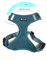 Petlando Hunde-Brustgeschirr Mesh-Vest Petrol L (Halsumfang 37-44 cm, Brustumfang 50-68 cm)