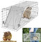 Lebendfalle Katze Groß in 61x19x21cm, Stabile Drahtfalle als Katzenfalle Kaninchenfalle Marderfalle Wühlmausfalle, Tierfreundliche Mäusefalle, Hochsensitive Wiederverwendbare Rattenfalle Lebend