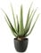 MichaelNoll Aloe Vera Pflanze, Kunstpflanze, Kunstbaum, künstliche Pflanze, Deko, im schwarzen Topf, sehr realistisch, Grün (55 cm - MN-KP-2219)