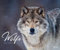 Wölfe - Kalender 2024 - Art-Format - Korsch-Verlag - Fotokalender - Naturfotografie - 55 cm x 45,5 cm