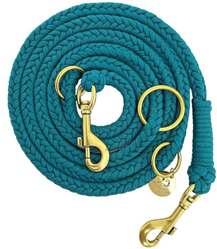Leisegrün Paracord Hundeleine 2m | Handgefertigte Leine 3-Fach verstellbar | Handmade für kleine und mittelgroße Hunde (Seafoam, 2 m) | Farbe: Türkis
