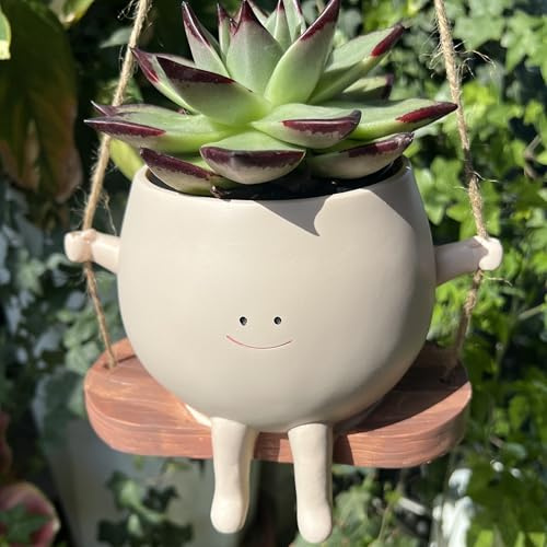 TEARS OF GAIA Pot de fleurs en résine avec motif visage souriant avec drainage, cadeau amusant pour les amateurs de plantes grasses, cadeau unique idéal pour les amateurs de plantes (grande