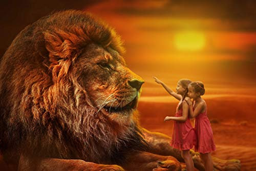 Vero-Puzzle 47196 Natur - Afrikanischer Sonnenuntergang, 2000 Teile in hochwertiger, cellophanierter Puzzle-Schachtel