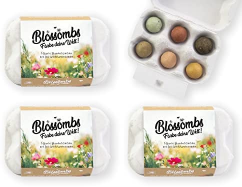 Blossombs Samenbomben - 4 x Eierkarton mit 6 Saatbomben - Blumen Geschenk für Bienen und Schmetterling - Blumensamen