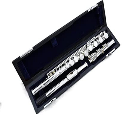 flöte Linkshänder- Und Rückhandflöteninstrument 16-Loch Geschlossenes Loch Versilbert