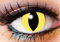Cats Eye Contacts - 1 Day Contact Lens