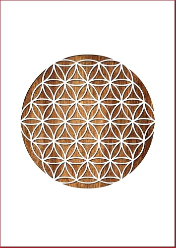 POCHOIR EN PLASTIQUE MYLAR 20 x 20 cm : Fleur de vie diametre 19 cm
