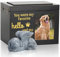 DiDiBirDi Schwarzes Holz Urnen für Hunde Kommt mit Hundeengel,Tierurnen für Hunde Urne Mit schwarzem Flanell Asche Aufbewahrungsbeutel Tierurnen für Hunde Gedenkgeschenk (50kg