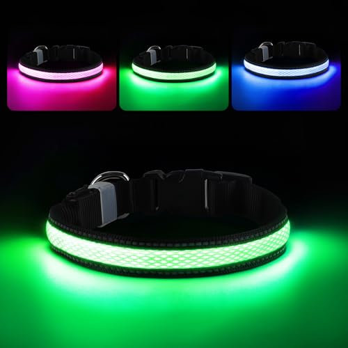 RUXAN Leuchtendes LED Hundehalsband USB Aufladbar, Wasserdicht Mit 3 Modi, Größe Einstellbar für Kleine Mittlere Große Hunde, Nacht Sicherheit