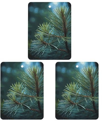Car Air Fresheners Set of 3 Hanging Air Freshener Pine Tree Green Needles Car Aromatherapy Tablets Hanging Fragrance Scented Cards for Rearview Mirror Wardrobe Shoe Cabinet Square Black