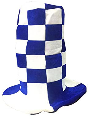 FAIRY TRENDZ Erwachsene, kariert, bedruckt, Kostüm, Party-Hut, Zubehör, Unisex, Blau / Weiß kariert, lang, verrückter Hut