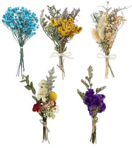 EYVRPAU 5 Mazzi di Fiori Secchi, per Bouquet, Cornici, Fai da Te Resina, Mini Bouquet Naturali, Piccoli, Circa Floreali Secche Album, Candele, Stabilizzati, Bomboniere, Fiorellini Bomboniere