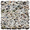 50 Stück Tank Aufkleber Vinyl Funny Cartoon Militärische Fahrzeuge Sticker für Skateboard Motorrad Laptop Auto Koffer Scrapbook Gepäck Gitarre,Wasserfeste Cool Trendy Aufkleber für Kinder Jugendliche