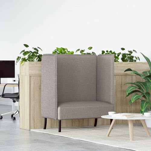 HETFTJN Zweisitzer Hochlehns-Sofa Taupe 109x56x121 cm Stoffbezug mit Schaumkern Robuste Holzstruktur und Pulverbeschichtete Beine für Living Room Co-Working Corner oder Balkon