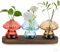 Hewory Pilz Deko Vase Glas: 3er Kleine Vasen für Tischdeko - Süßes Fliegenpilz Deko Terrarium Glas Propagation Station mit Holztablett - Ästhetik Mini Vasen Bunt Geschenke für Frauen Deko Wohnzimmer